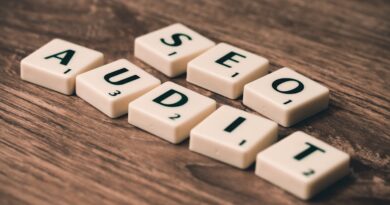How to Audit Your Website's SEO Performance